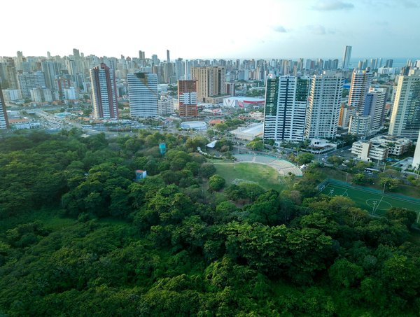 Comment organiser un marché de producteurs locaux dans votre quartier ?