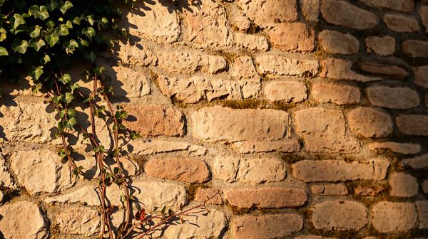 5 astuces pour améliorer l'isolation thermique extérieure